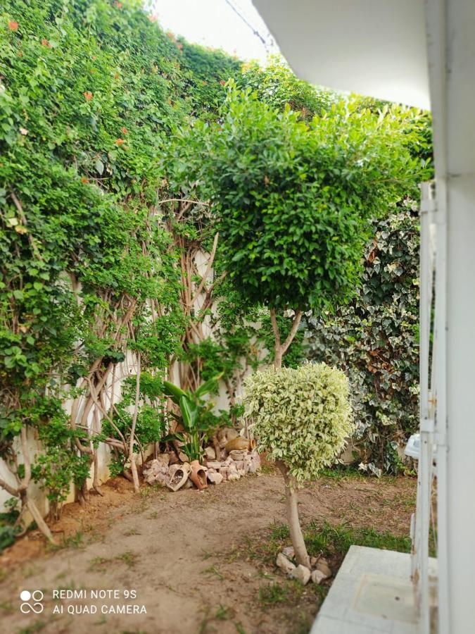 Etage De Villa Avec Jardin, Pres De L'Aireport Et Parking Prive Ariana Bagian luar foto