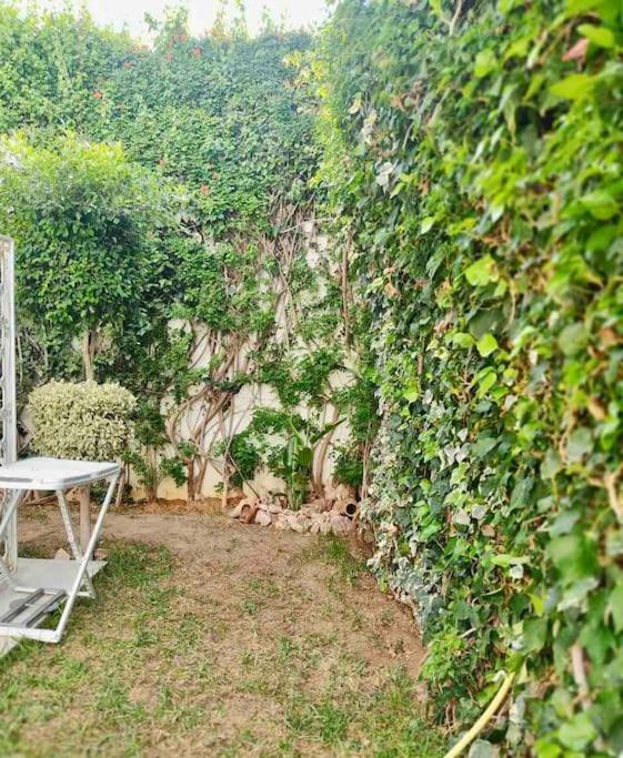 Etage De Villa Avec Jardin, Pres De L'Aireport Et Parking Prive Ariana Bagian luar foto