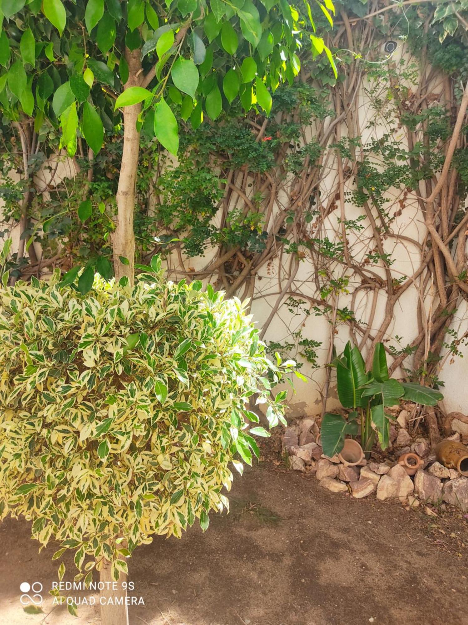 Etage De Villa Avec Jardin, Pres De L'Aireport Et Parking Prive Ariana Bagian luar foto