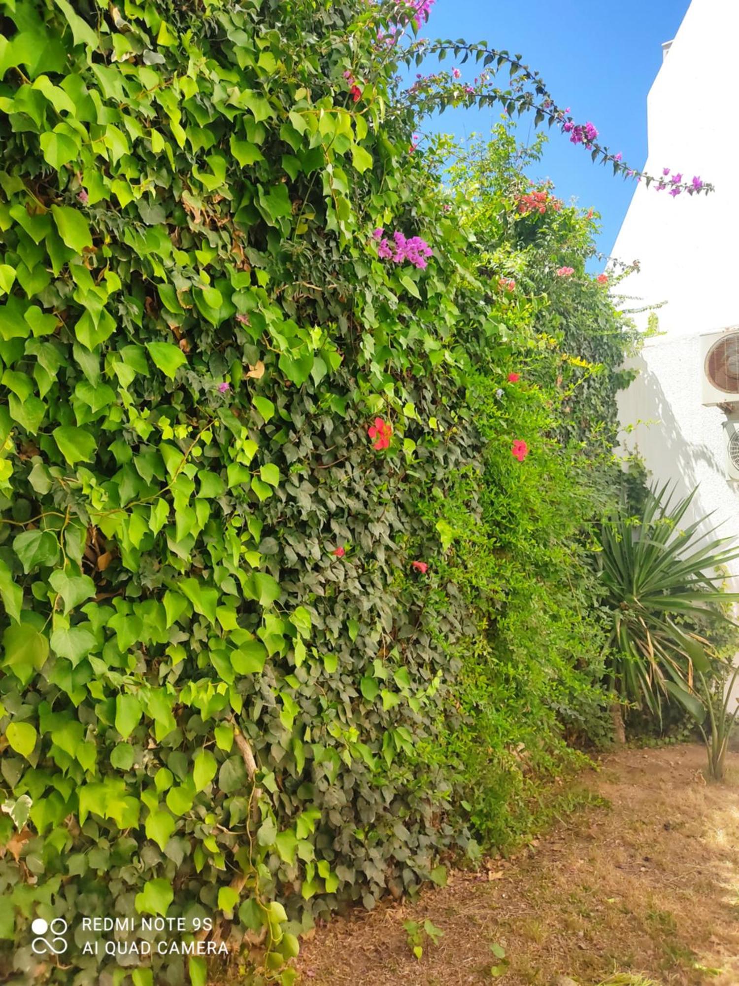 Etage De Villa Avec Jardin, Pres De L'Aireport Et Parking Prive Ariana Bagian luar foto