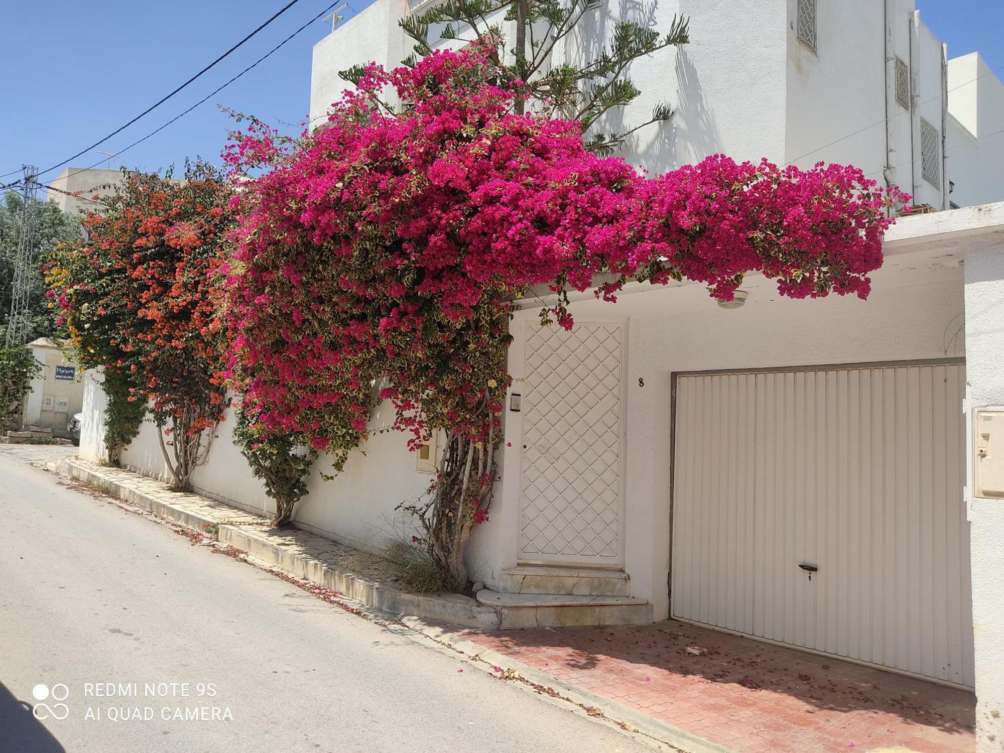Etage De Villa Avec Jardin, Pres De L'Aireport Et Parking Prive Ariana Bagian luar foto