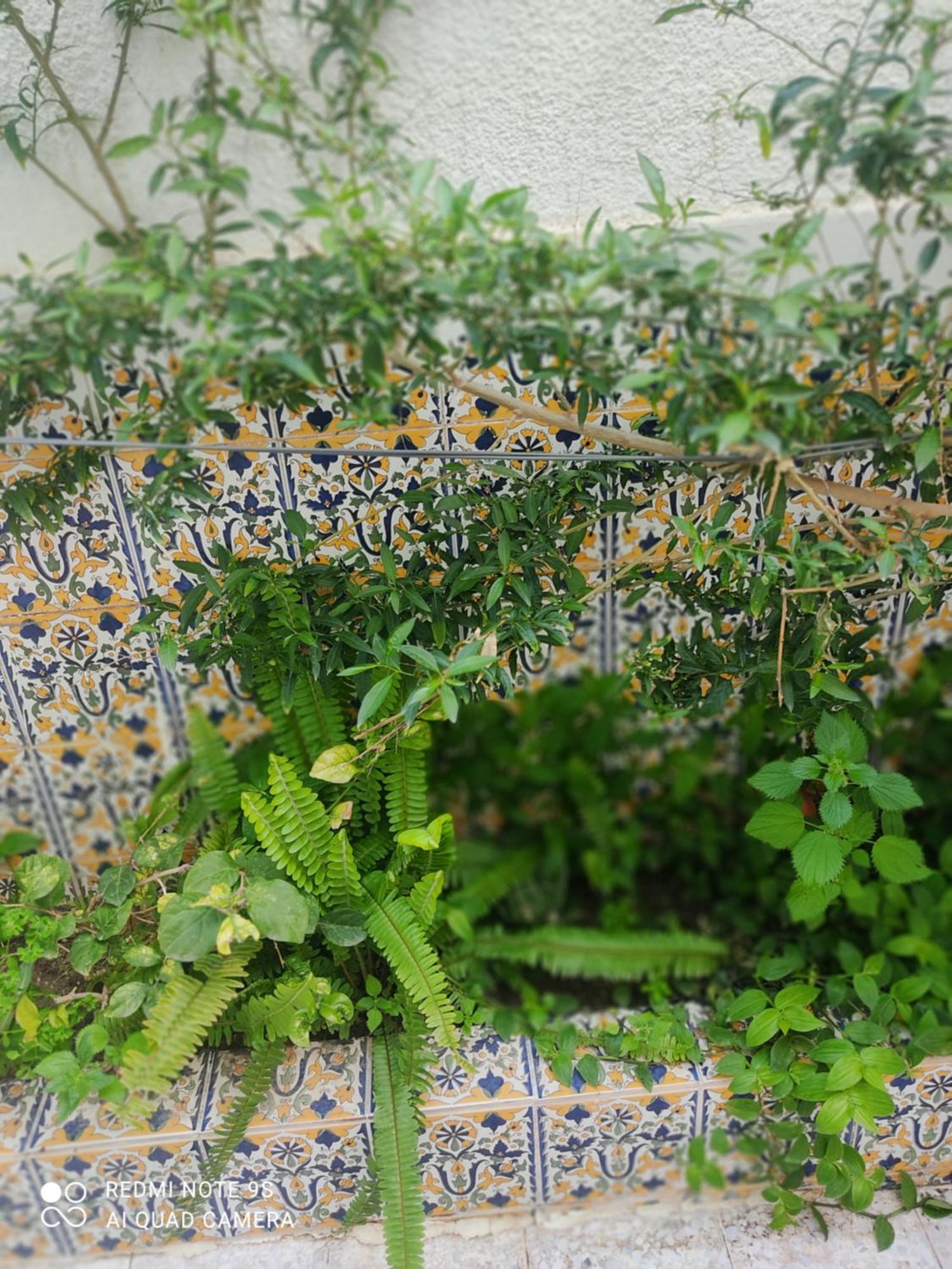 Etage De Villa Avec Jardin, Pres De L'Aireport Et Parking Prive Ariana Bagian luar foto